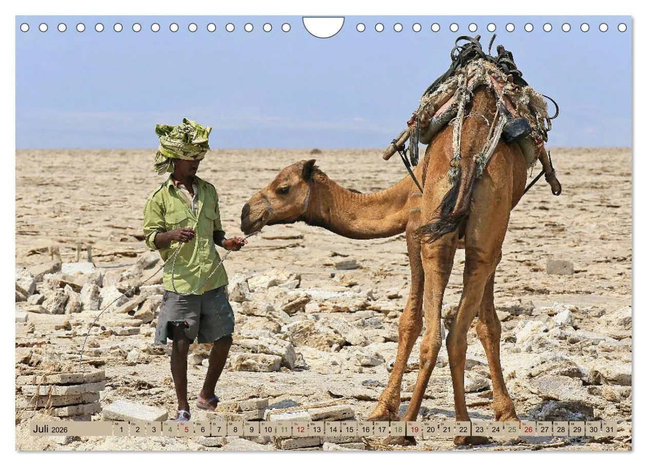Bild: 9783457847053 | Kamele - Die freundlichen Gepäckträger (Wandkalender 2026 DIN A4...