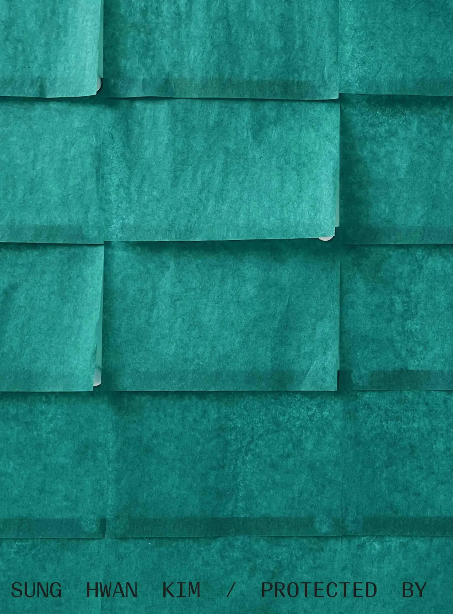 Cover: 9783753307053 | Sung Hwan Kim. Protected by roof and right hand muscles | Kim | Buch