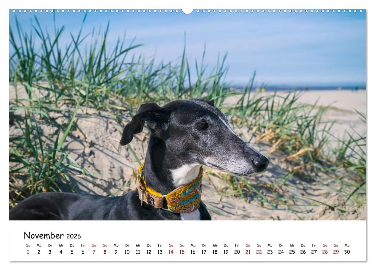 Bild: 9783457457153 | Strandurlaub mit Hund (hochwertiger Premium Wandkalender 2026 DIN...