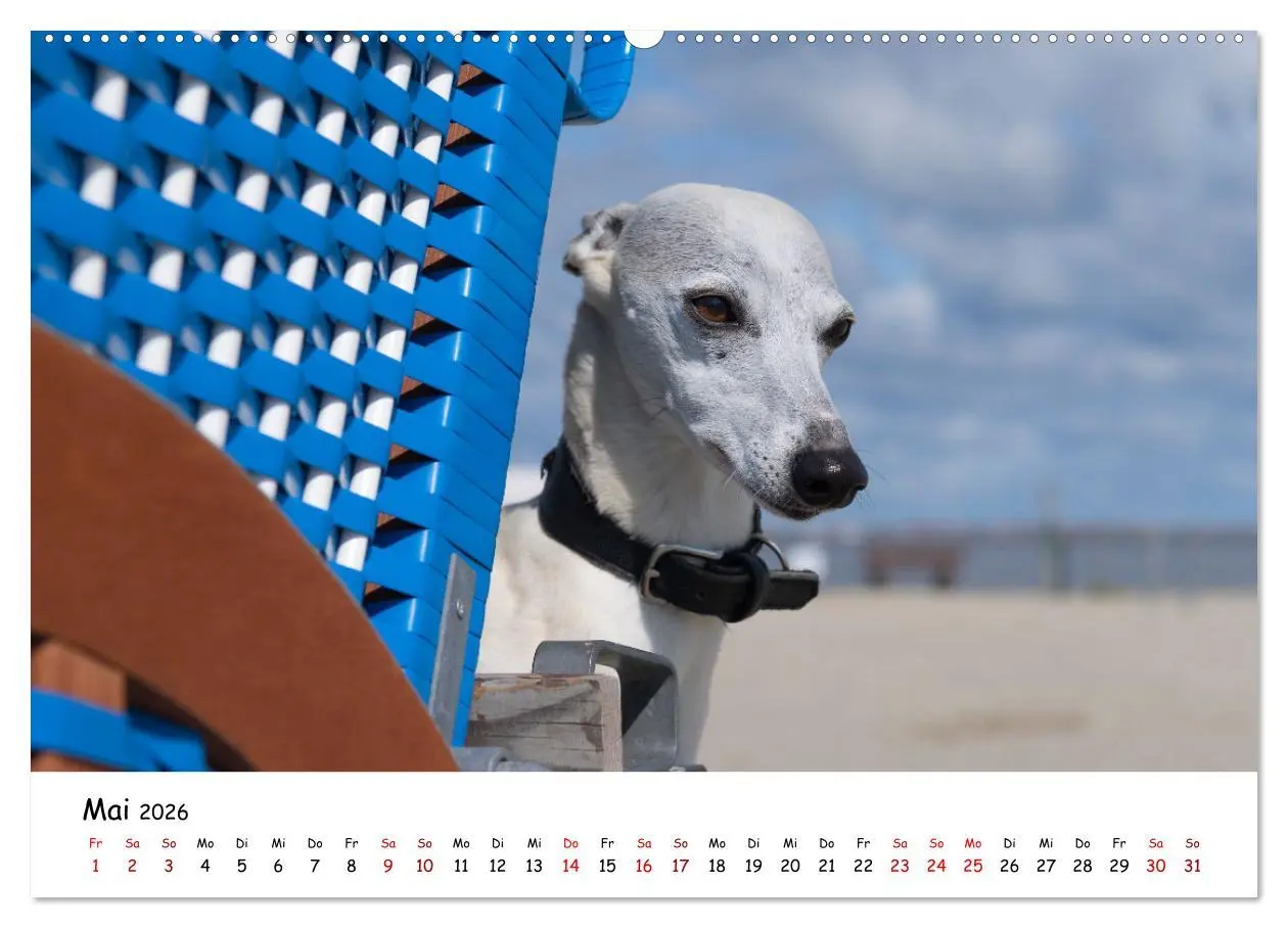 Bild: 9783457457153 | Strandurlaub mit Hund (hochwertiger Premium Wandkalender 2026 DIN...