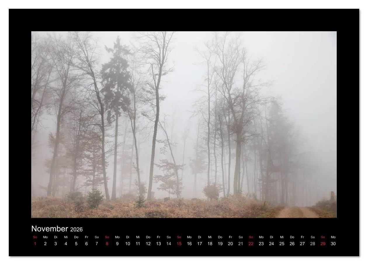 Bild: 9783516167153 | Taunus (Wandkalender 2026 DIN A3 quer), CALVENDO Monatskalender | 2026