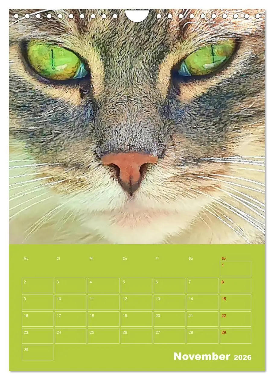 Bild: 9783516307153 | Cat Faces - Charakterstarke Katzengesichter ganz nah (Wandkalender...