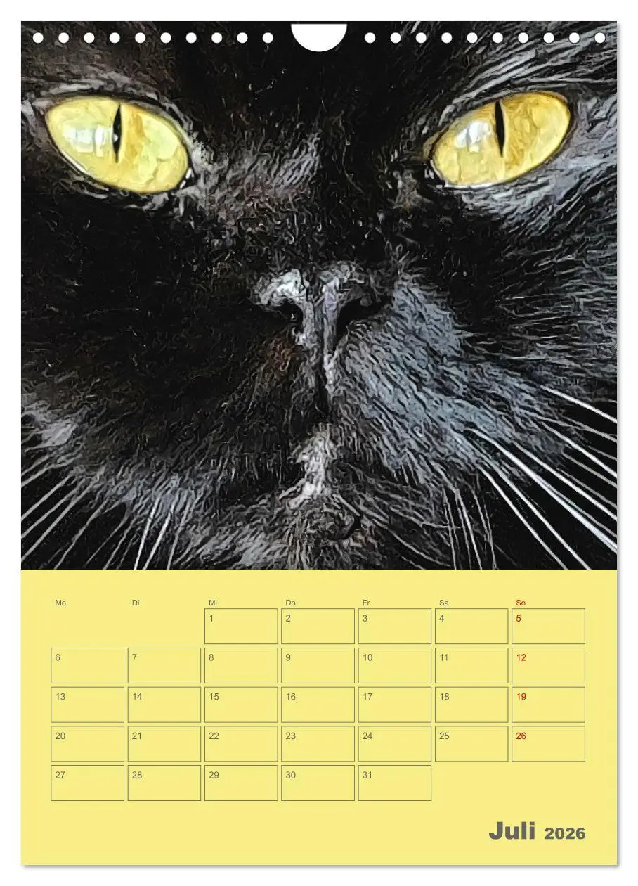 Bild: 9783516307153 | Cat Faces - Charakterstarke Katzengesichter ganz nah (Wandkalender...