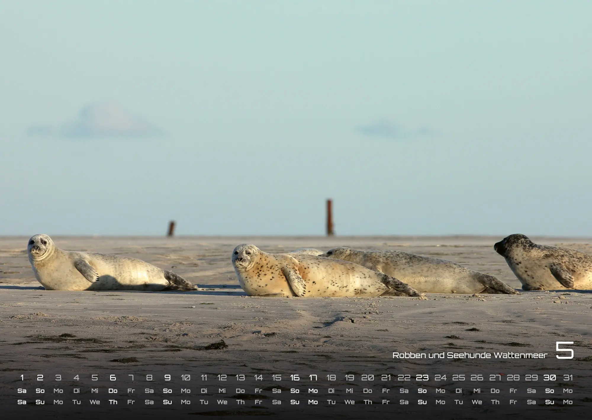 Bild: 9783986737153 | Nordsee - Küstenzauber - 2027 - Kalender DIN A2 | GP-Fever. de | 15 S.
