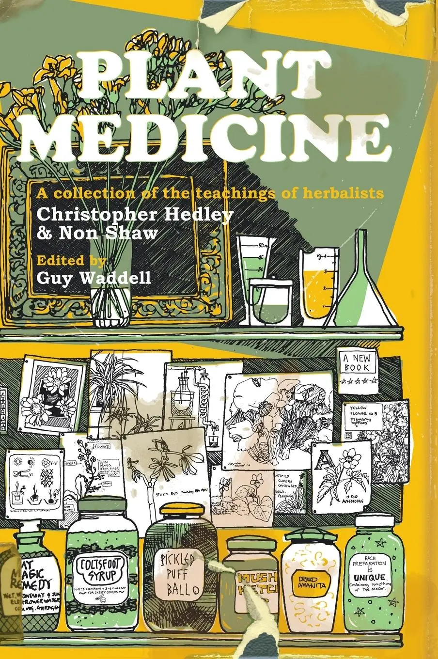 Cover: 9781912807253 | Plant Medicine | Christopher Hedley (u. a.) | Taschenbuch | Englisch