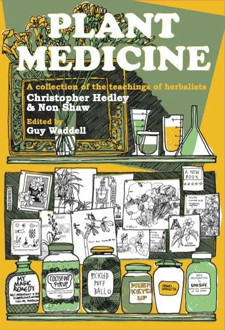 Bild: 9781912807253 | Plant Medicine | Christopher Hedley (u. a.) | Taschenbuch | Englisch