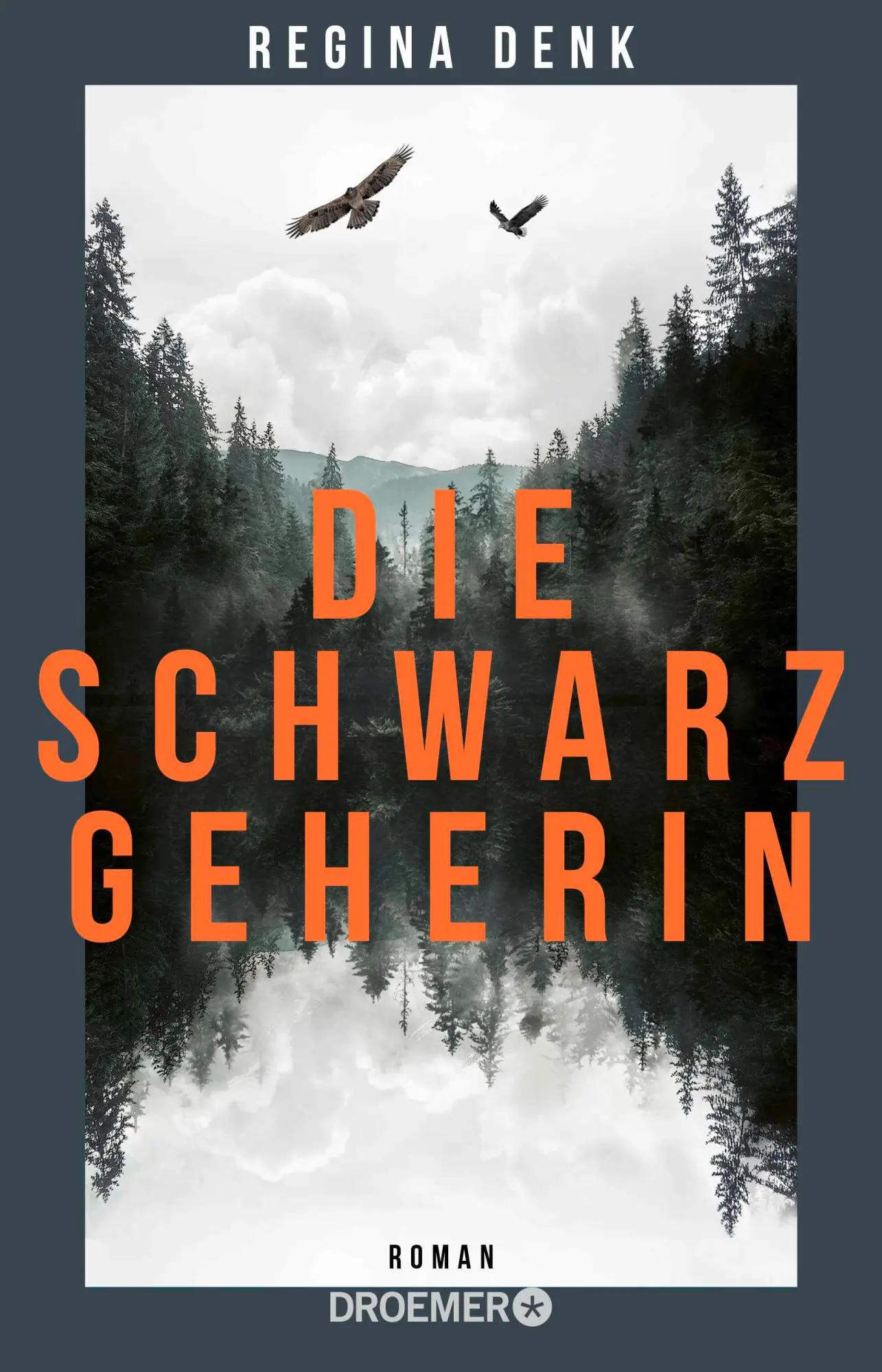 Cover: 9783426447253 | Die Schwarzgeherin | Roman | Regina Denk | Taschenbuch | 416 S. | 2025