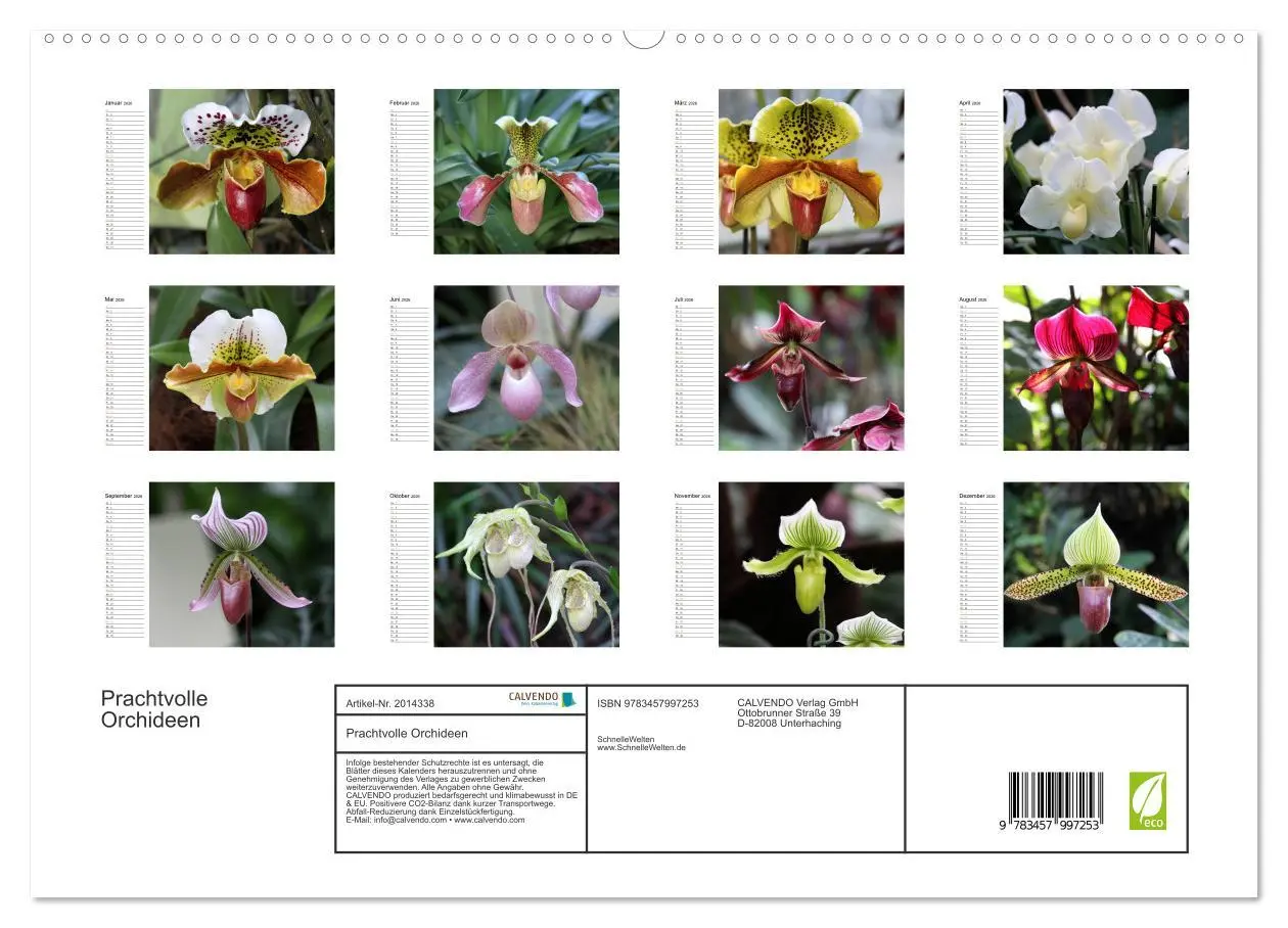 Bild: 9783457997253 | Prachtvolle Orchideen (hochwertiger Premium Wandkalender 2026 DIN...