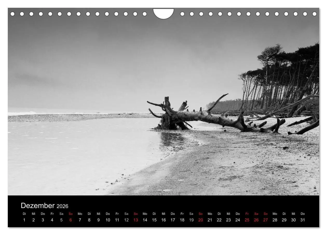 Bild: 9783516087253 | Strandspaziergang an der Ostsee (Wandkalender 2026 DIN A4 quer),...