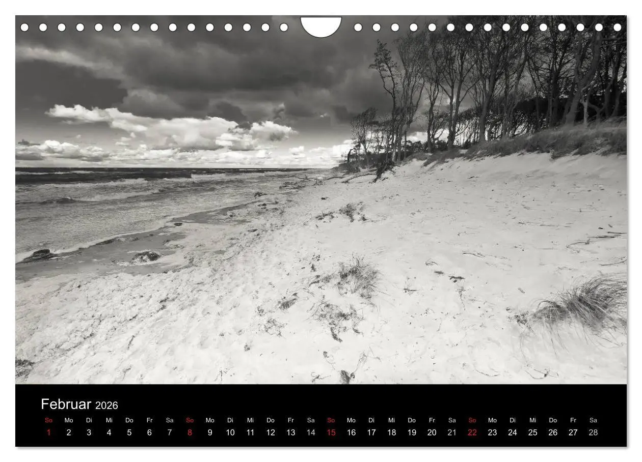Bild: 9783516087253 | Strandspaziergang an der Ostsee (Wandkalender 2026 DIN A4 quer),...