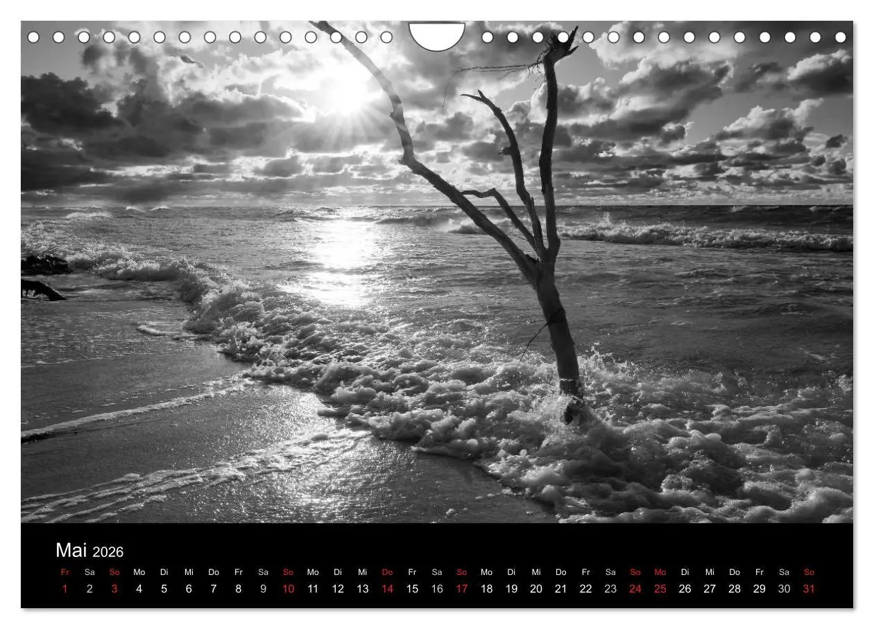 Bild: 9783516087253 | Strandspaziergang an der Ostsee (Wandkalender 2026 DIN A4 quer),...