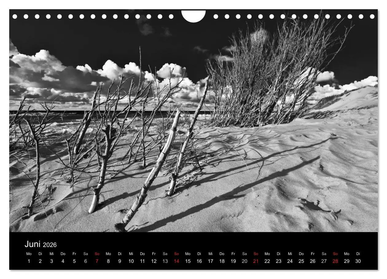 Bild: 9783516087253 | Strandspaziergang an der Ostsee (Wandkalender 2026 DIN A4 quer),...