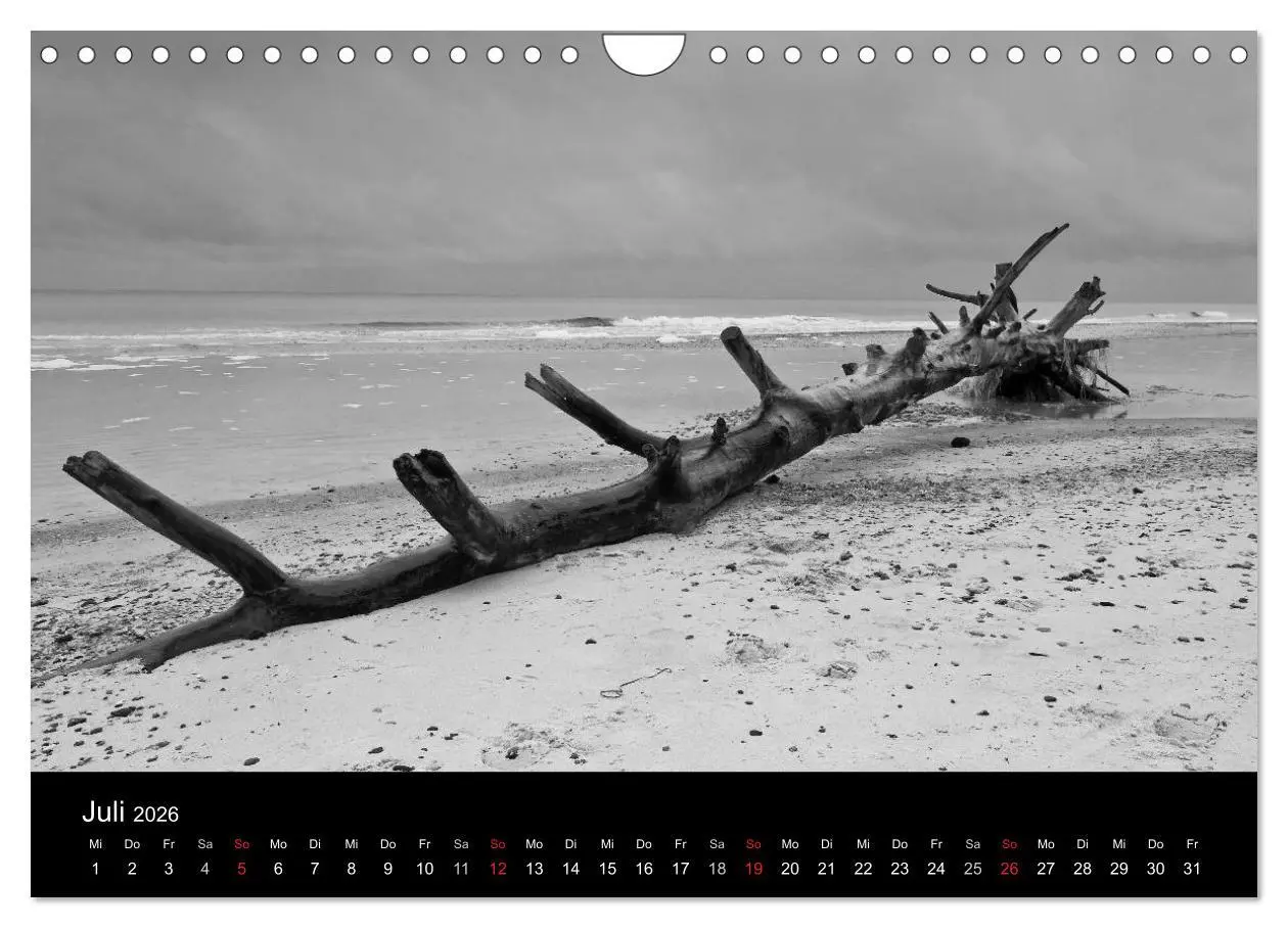 Bild: 9783516087253 | Strandspaziergang an der Ostsee (Wandkalender 2026 DIN A4 quer),...