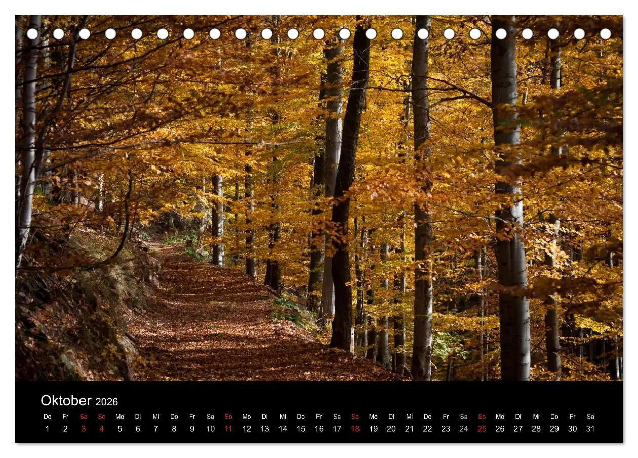 Bild: 9783516227253 | Harz-Bilder (Tischkalender 2026 DIN A5 quer), CALVENDO Monatskalender