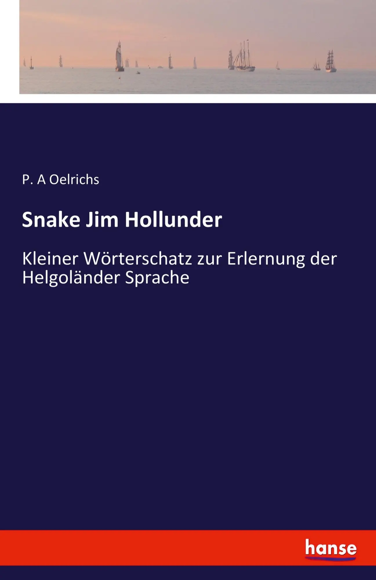Cover: 9783743487253 | Snake Jim Hollunder | P. A Oelrichs | Taschenbuch | 132 S. | Deutsch