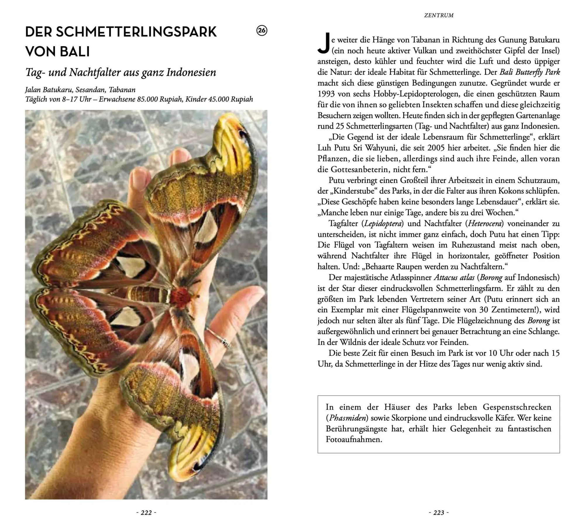 Bild: 9782361957353 | Verborgenes Bali | Narina Exelby (u. a.) | Taschenbuch | 240 S. | 2024