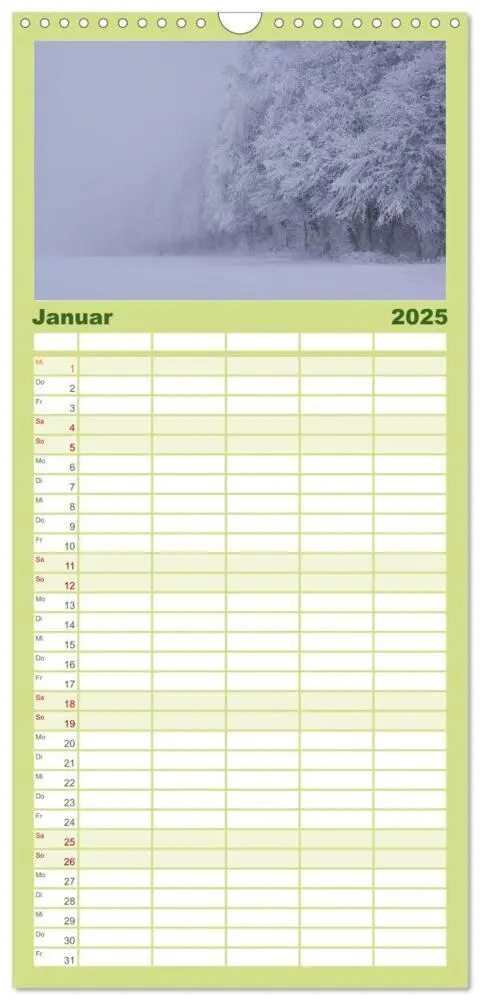 Bild: 9783457117453 | Familienplaner 2025 - Mysterium Wald mit 5 Spalten (Wandkalender,...