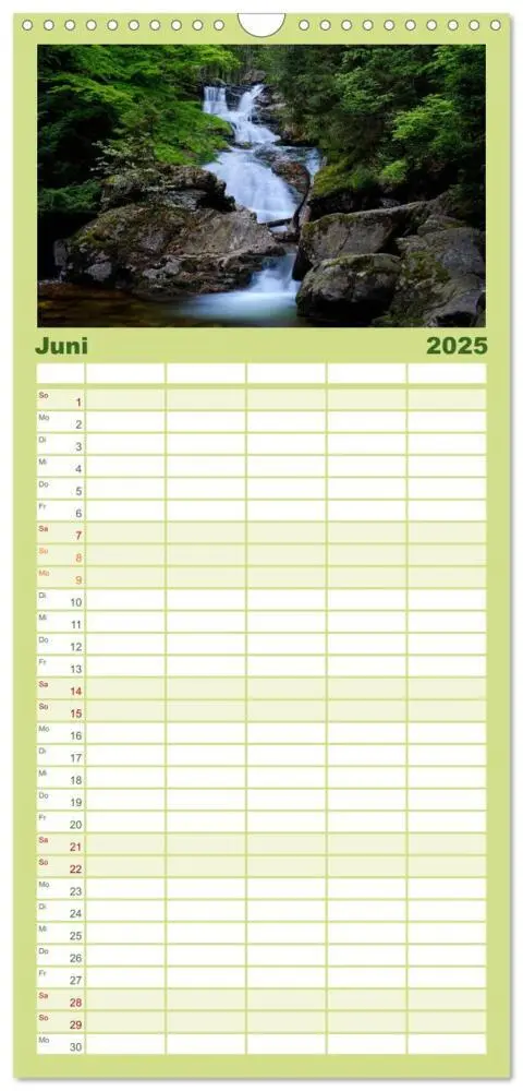 Bild: 9783457117453 | Familienplaner 2025 - Mysterium Wald mit 5 Spalten (Wandkalender,...
