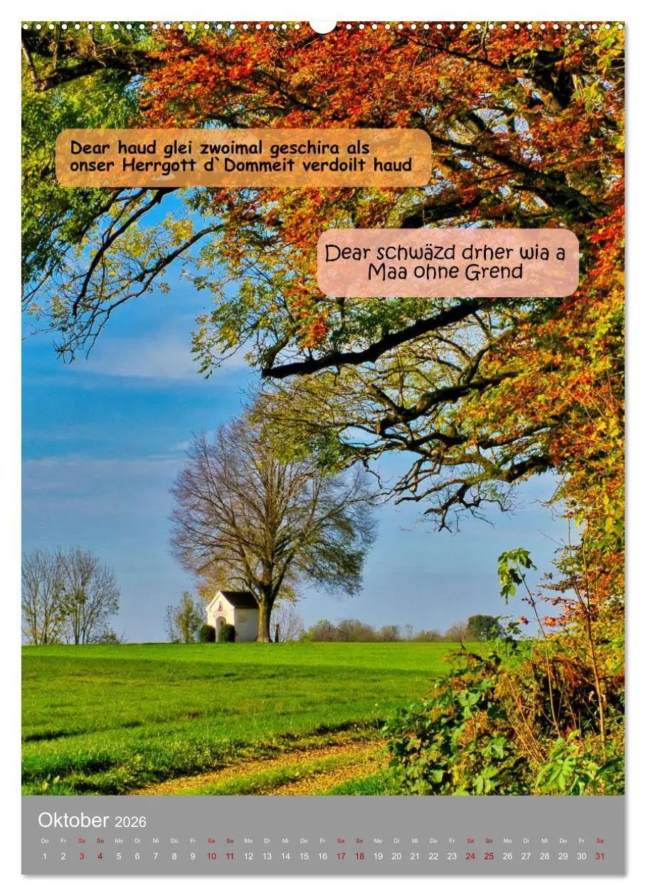 Bild: 9783457287453 | Schwäbische Sprichwörter Oifach g`redt (Wandkalender 2026 DIN A2...