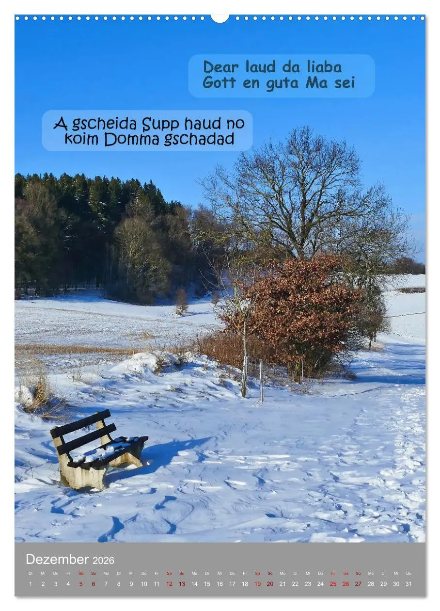 Bild: 9783457287453 | Schwäbische Sprichwörter Oifach g`redt (Wandkalender 2026 DIN A2...