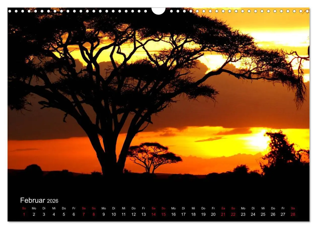 Bild: 9783516137453 | Natur von ihrer schönsten Seite 2026 (Wandkalender 2026 DIN A3...