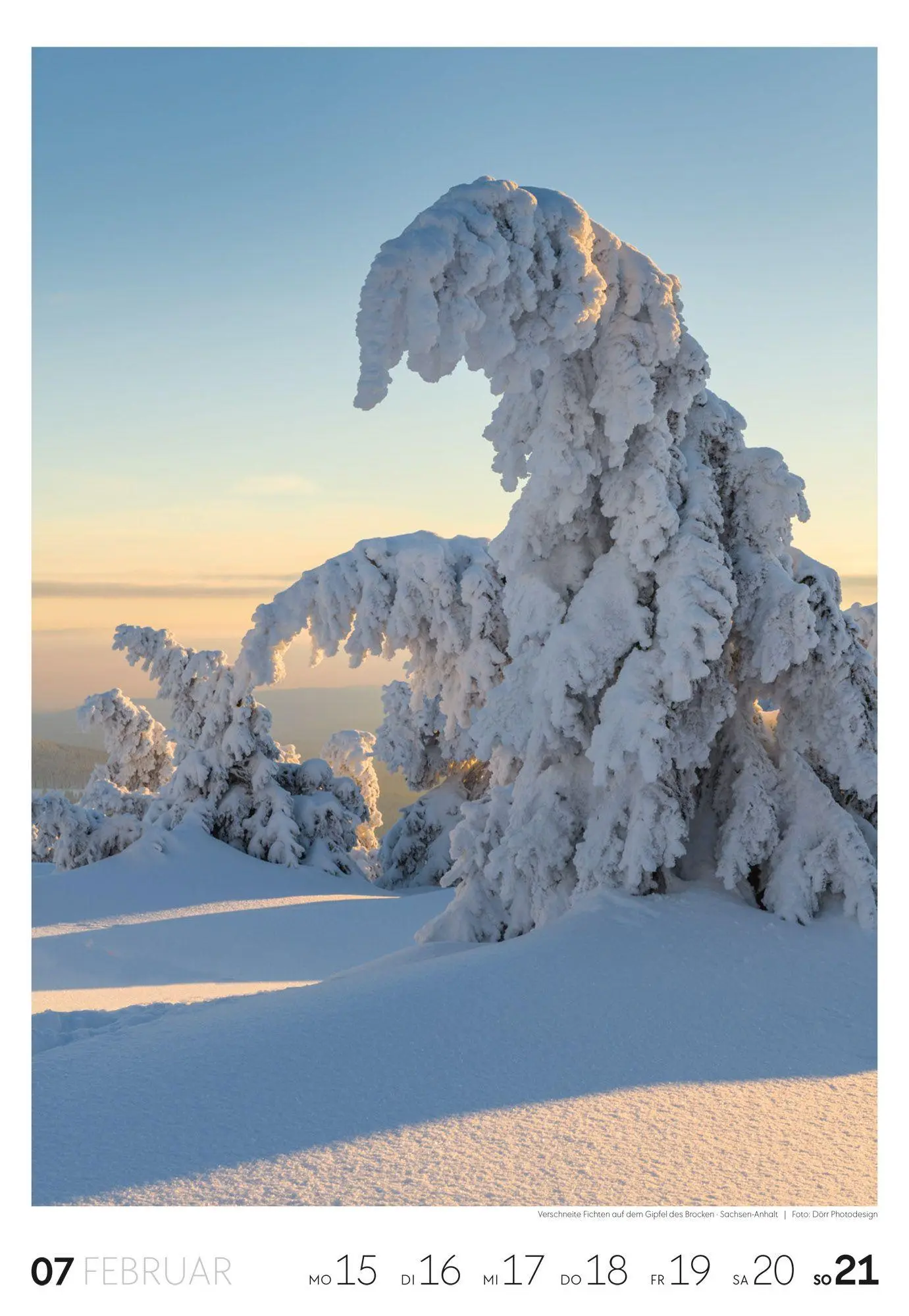 Bild: 9783838437453 | Natur Wochenkalender 2027 | Ackermann Kunstverlag GmbH | Kalender