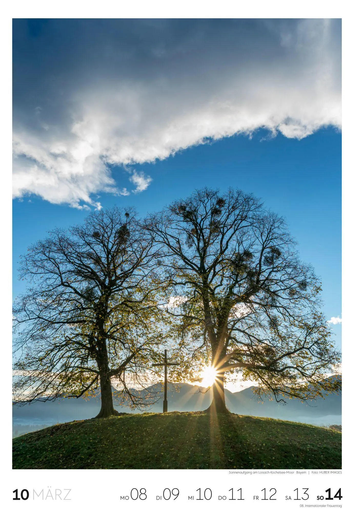 Bild: 9783838437453 | Natur Wochenkalender 2027 | Ackermann Kunstverlag GmbH | Kalender