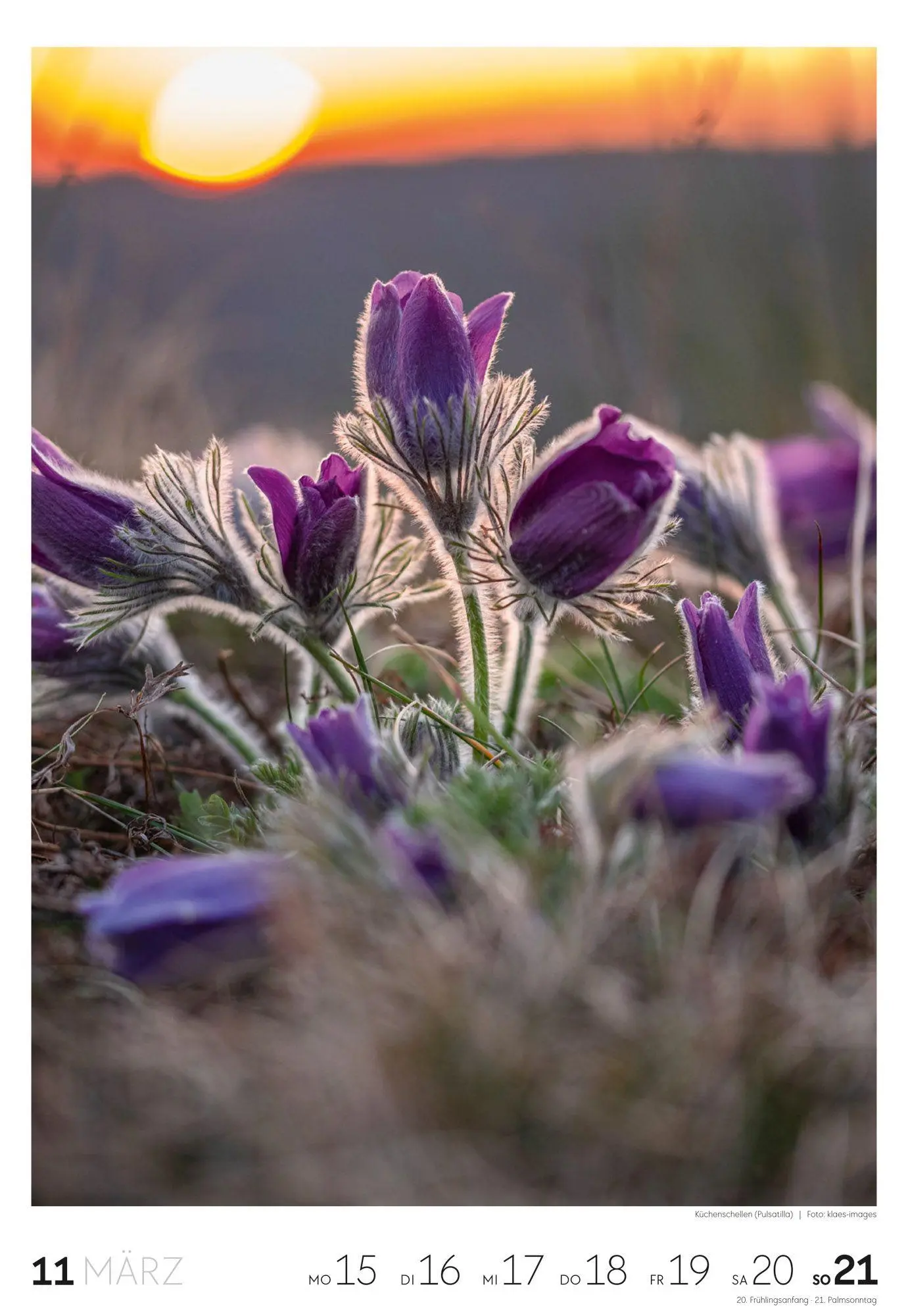 Bild: 9783838437453 | Natur Wochenkalender 2027 | Ackermann Kunstverlag GmbH | Kalender