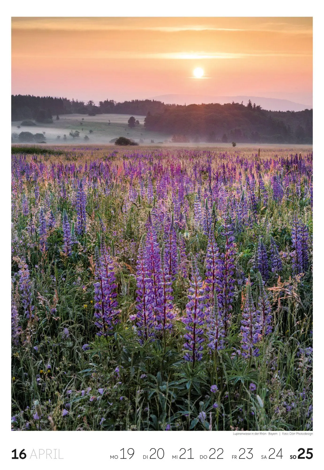 Bild: 9783838437453 | Natur Wochenkalender 2027 | Ackermann Kunstverlag GmbH | Kalender