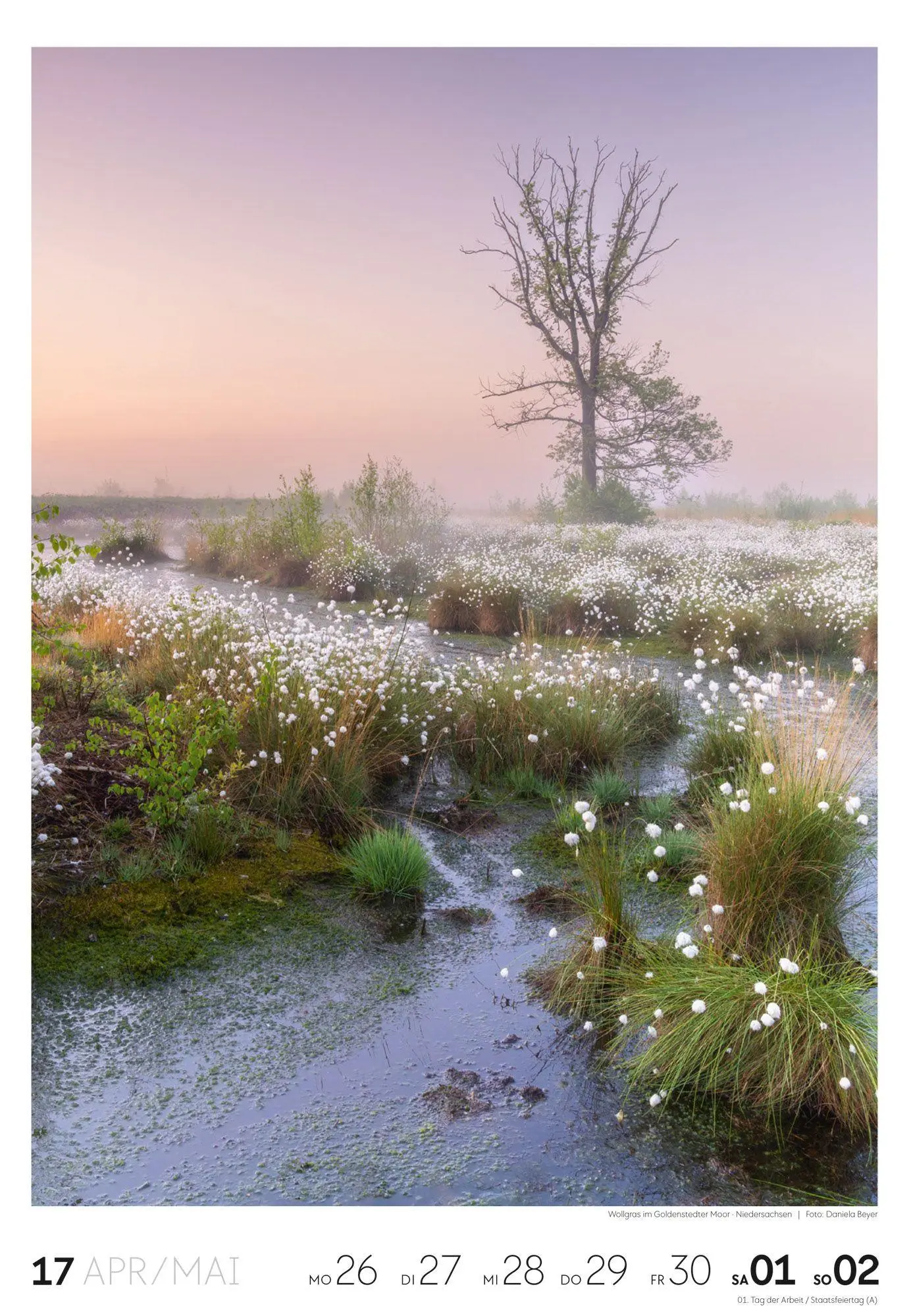 Bild: 9783838437453 | Natur Wochenkalender 2027 | Ackermann Kunstverlag GmbH | Kalender