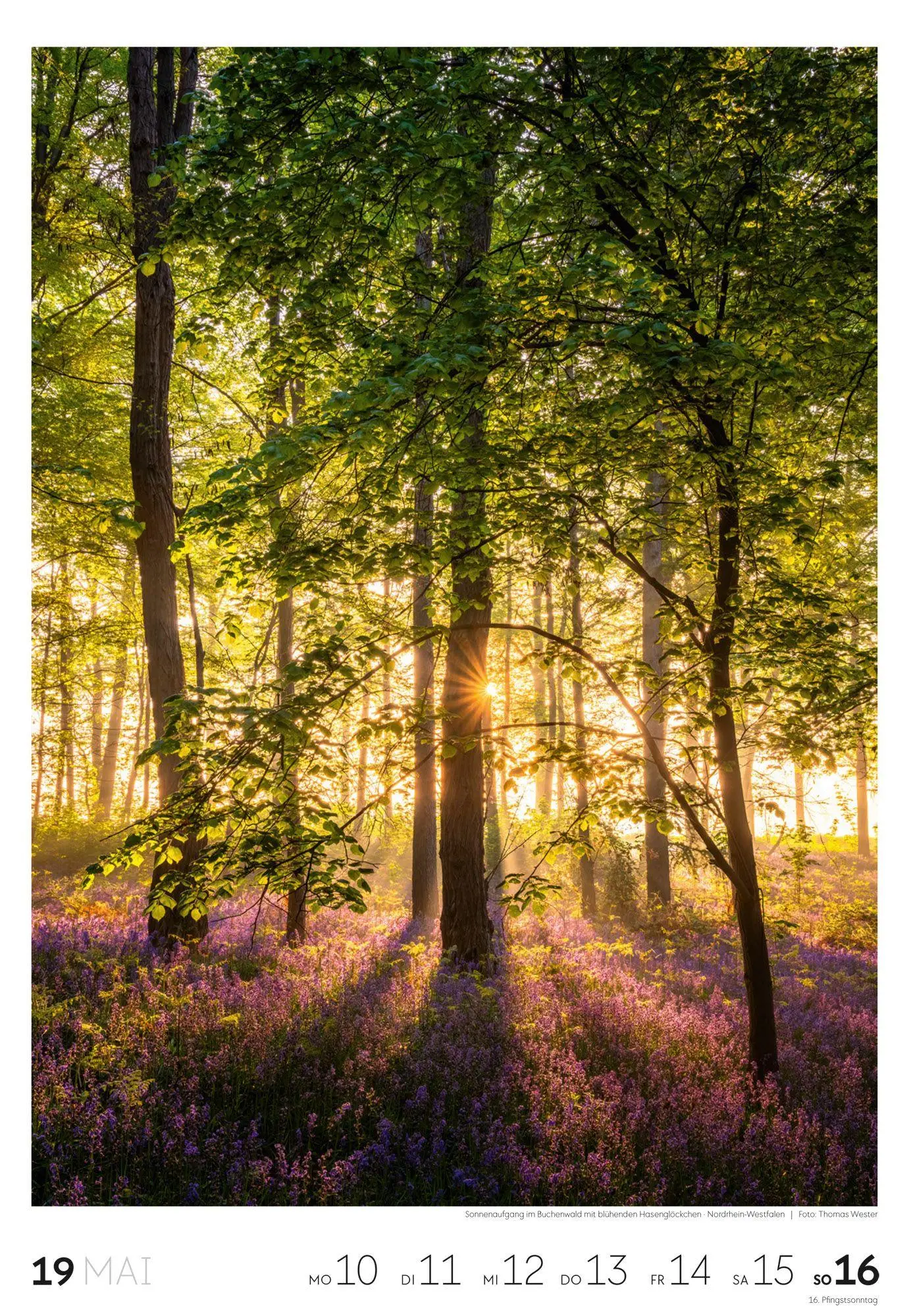 Bild: 9783838437453 | Natur Wochenkalender 2027 | Ackermann Kunstverlag GmbH | Kalender