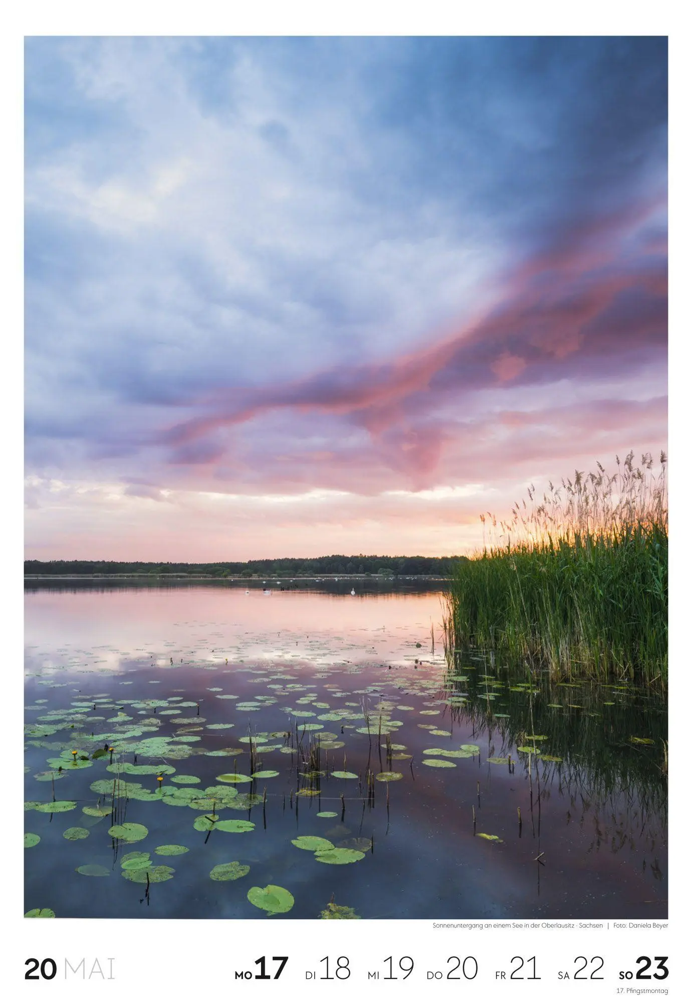 Bild: 9783838437453 | Natur Wochenkalender 2027 | Ackermann Kunstverlag GmbH | Kalender