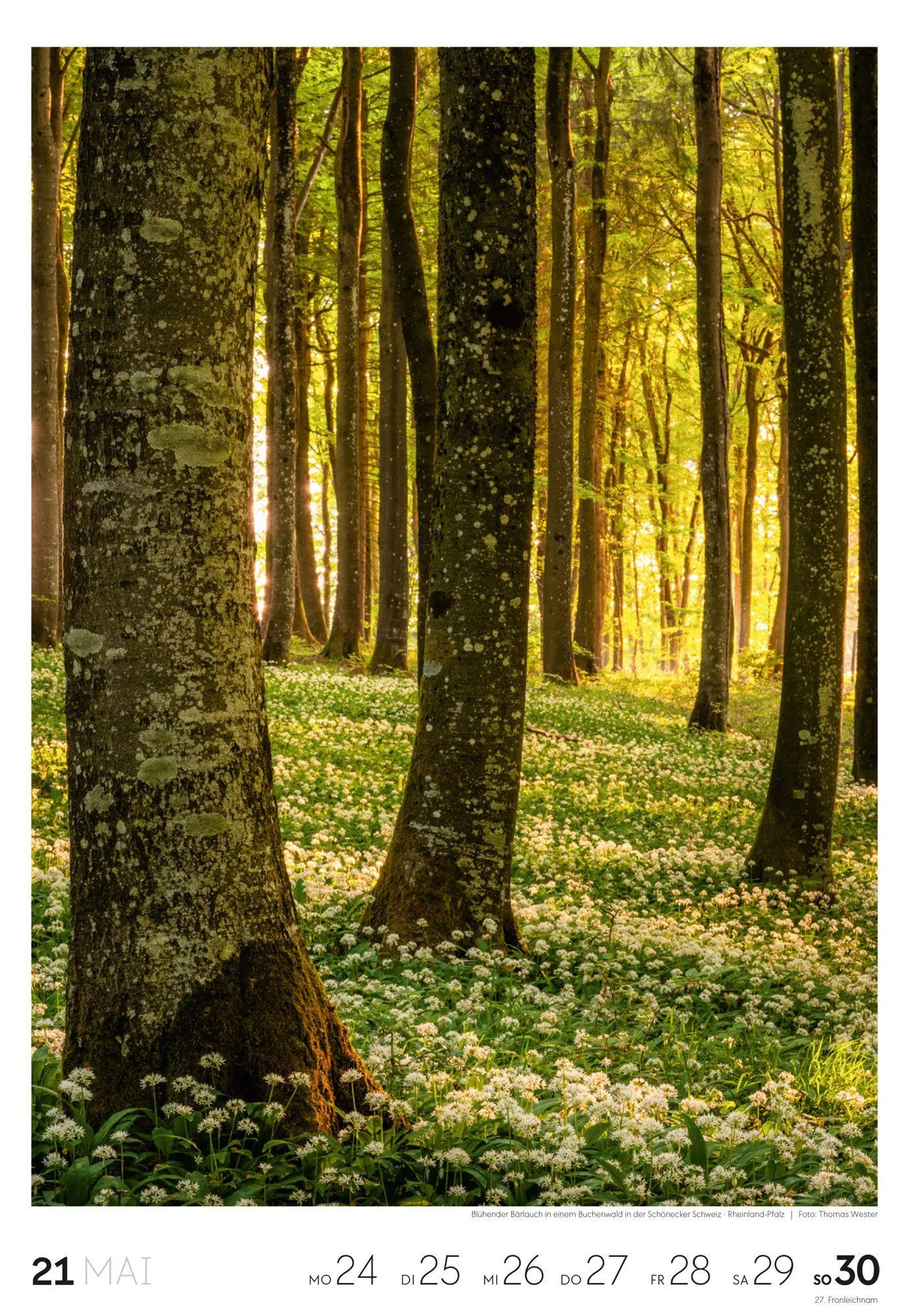 Bild: 9783838437453 | Natur Wochenkalender 2027 | Ackermann Kunstverlag GmbH | Kalender