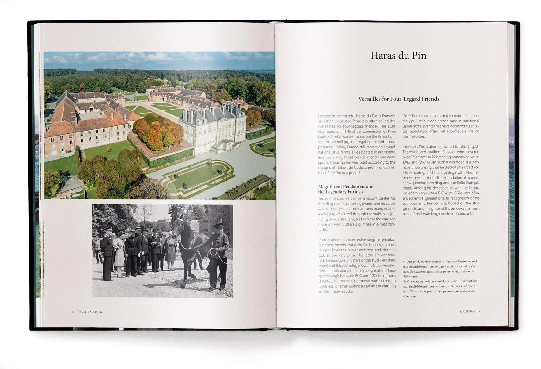 Bild: 9783961717453 | Equestrian | The Ultimate Book | Alena Brandt | Buch | 224 S. | 2026
