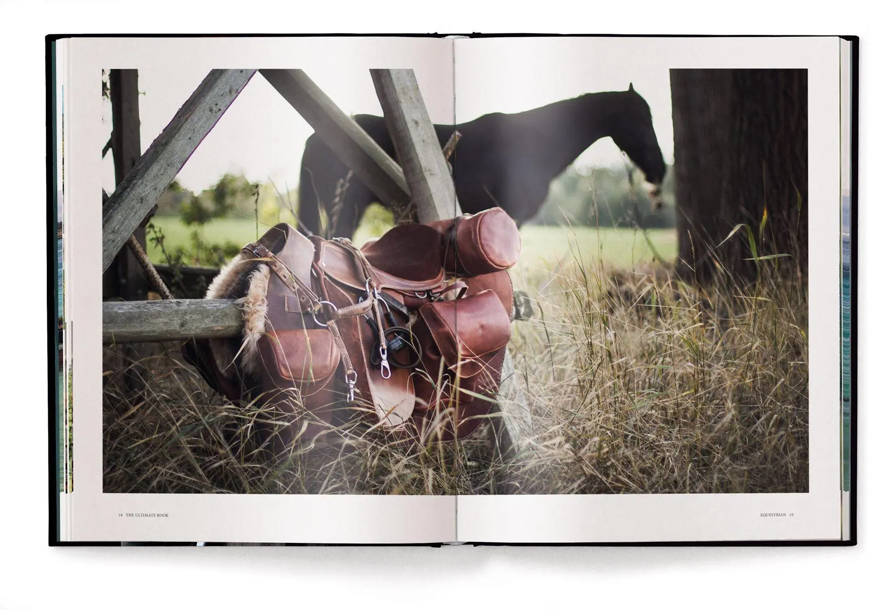 Bild: 9783961717453 | Equestrian | The Ultimate Book | Alena Brandt | Buch | 224 S. | 2026