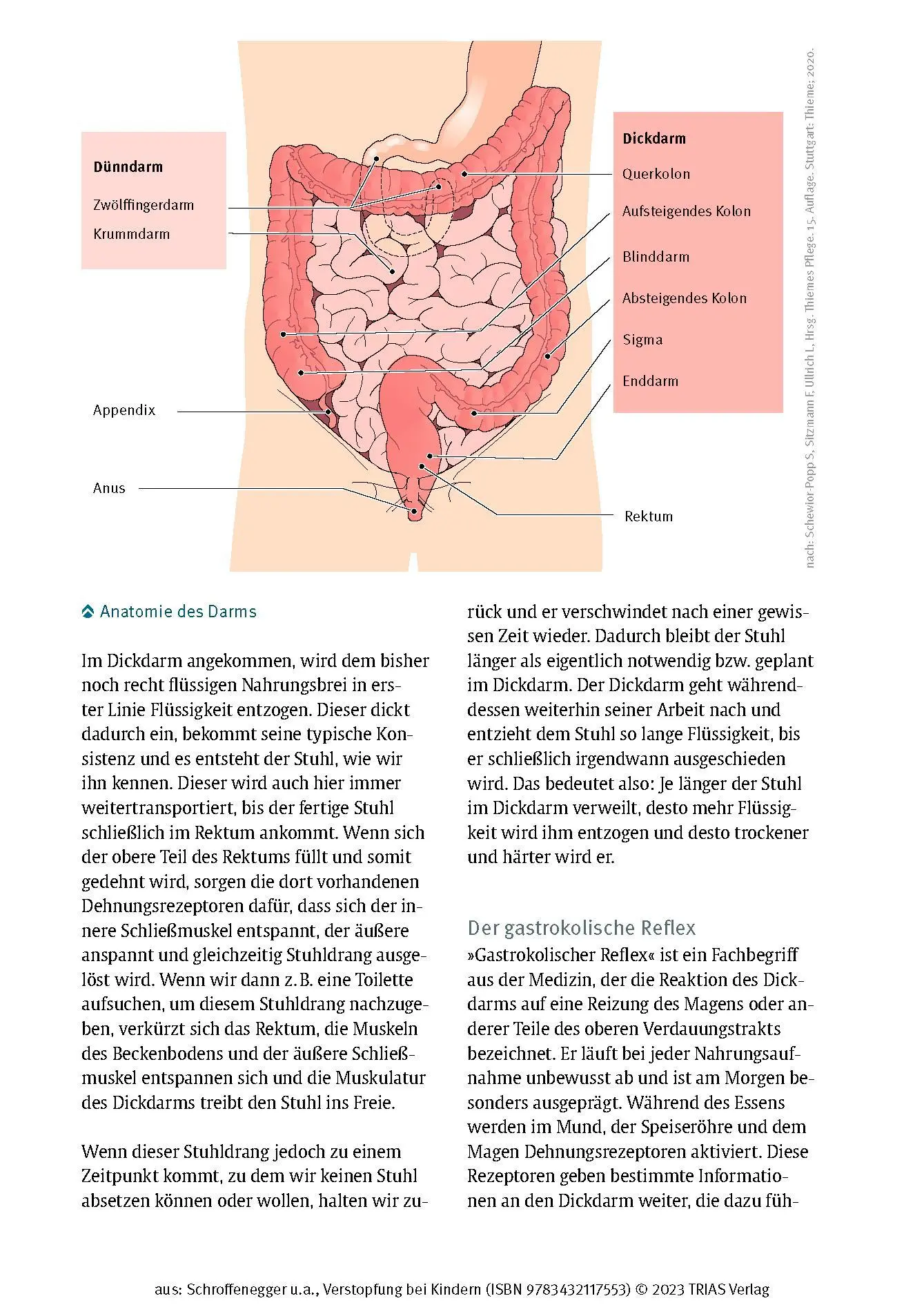Bild: 9783432117553 | Verstopfung bei Kindern | Yvonne Schroffenegger (u. a.) | Taschenbuch