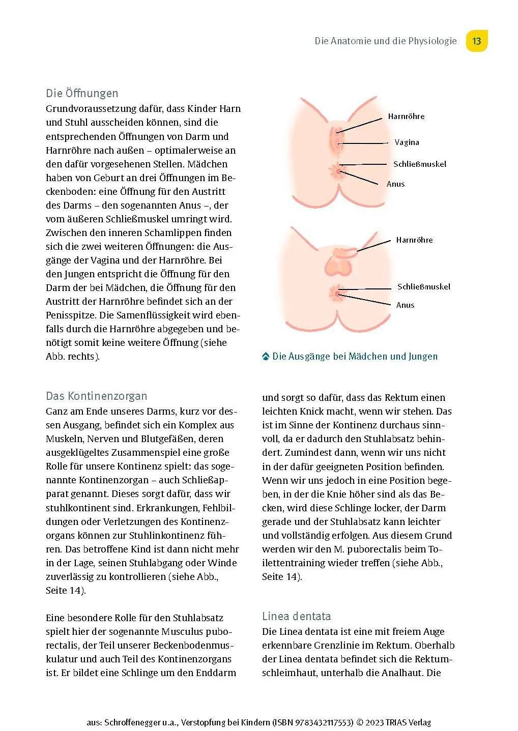 Bild: 9783432117553 | Verstopfung bei Kindern | Yvonne Schroffenegger (u. a.) | Taschenbuch
