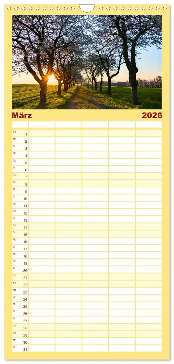 Bild: 9783516507553 | Familienplaner 2026 - Sonnige Augenblicke mit 5 Spalten...