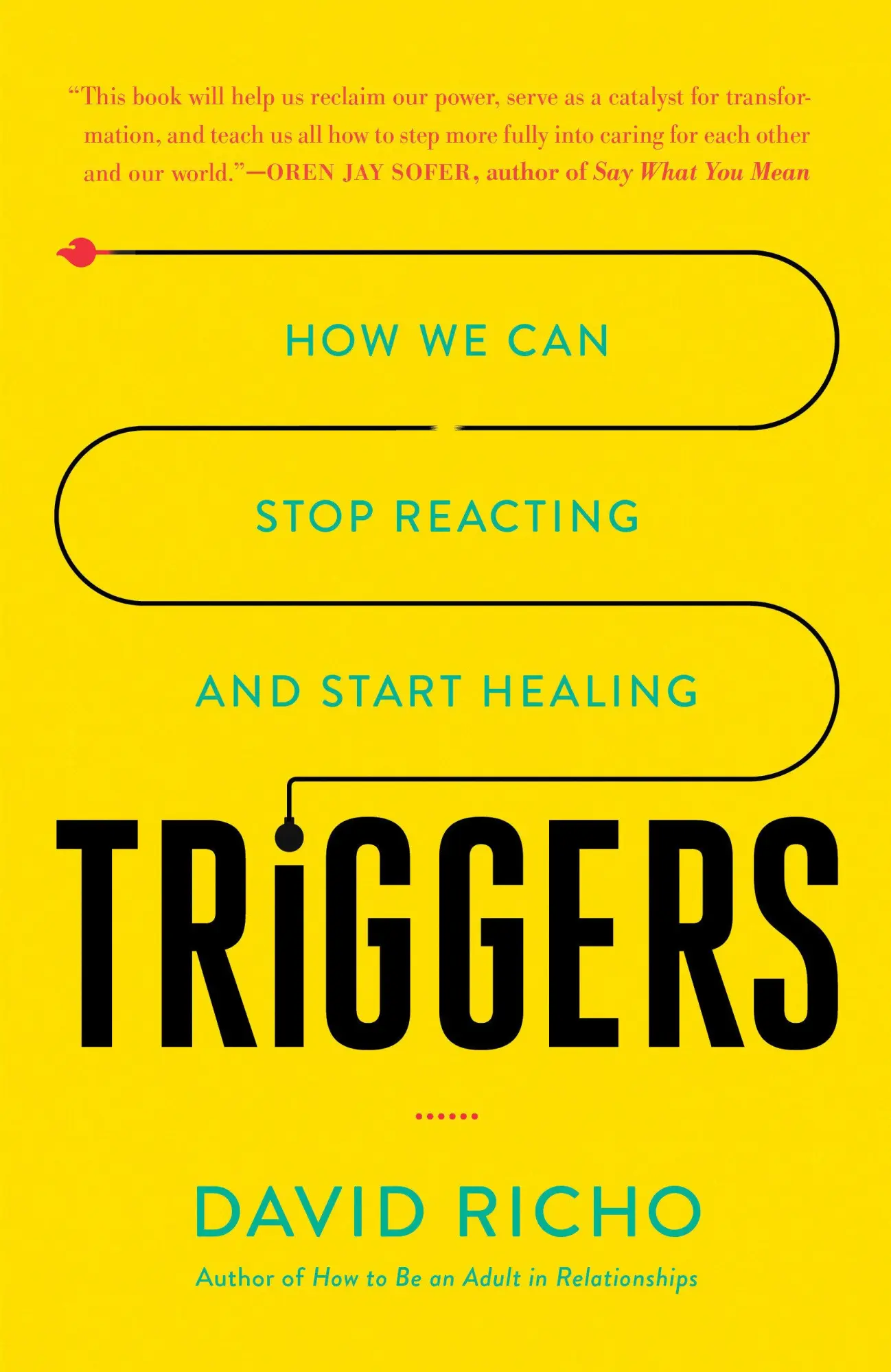 Cover: 9781611807653 | Triggers: How We Can Stop Reacting and Start Healing | David Richo