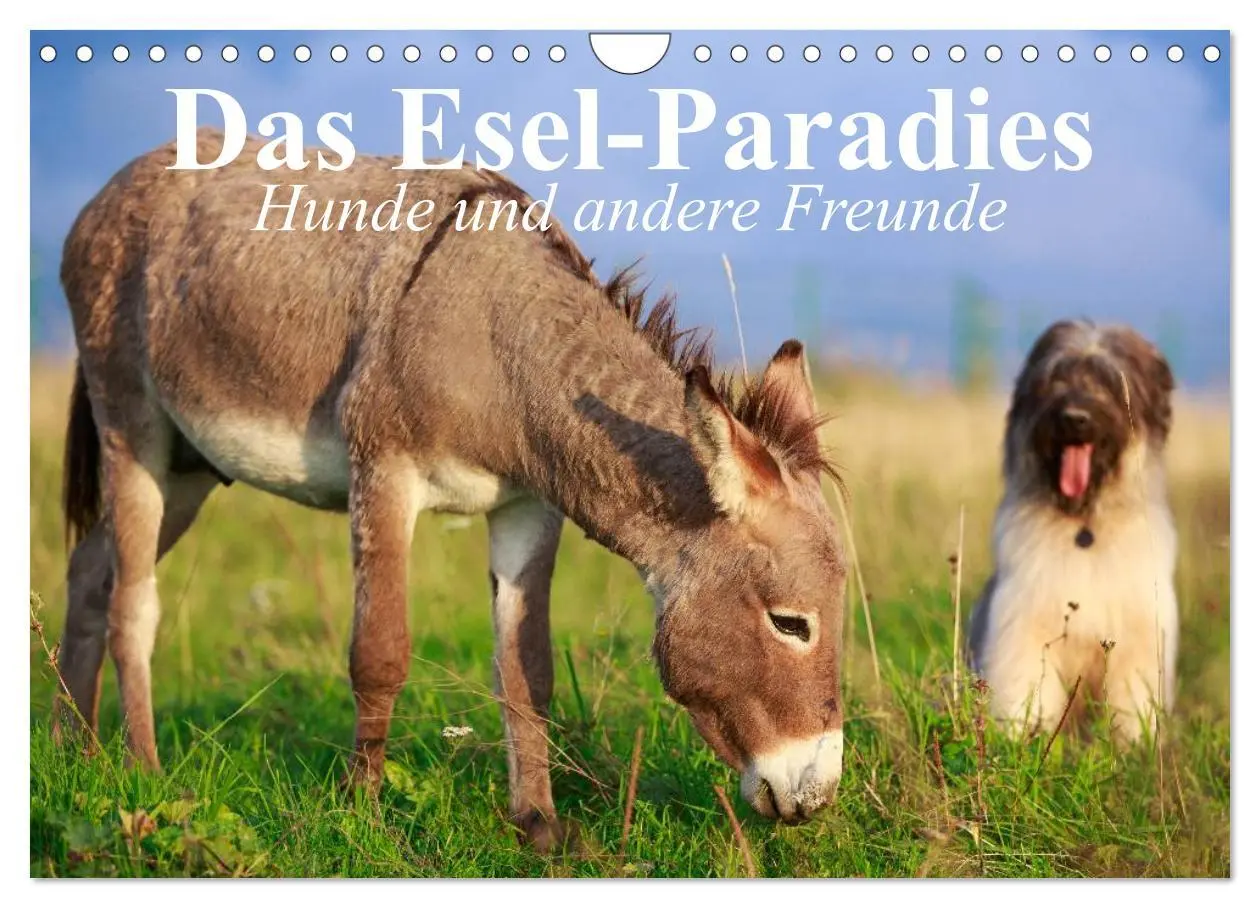 Cover: 9783516117653 | Das Esel-Paradies - Hunde und andere Feunde (Wandkalender 2026 DIN...