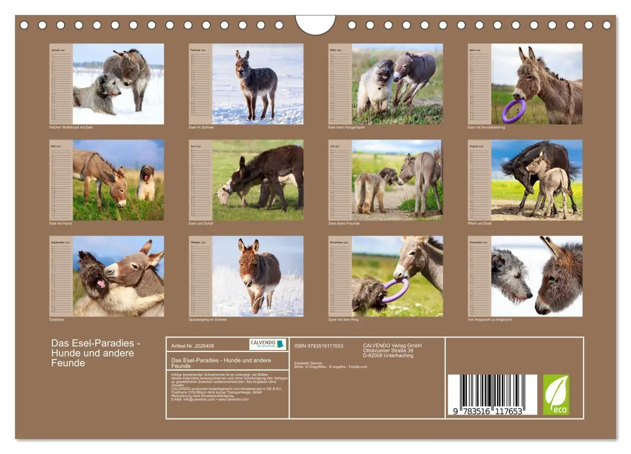 Bild: 9783516117653 | Das Esel-Paradies - Hunde und andere Feunde (Wandkalender 2026 DIN...