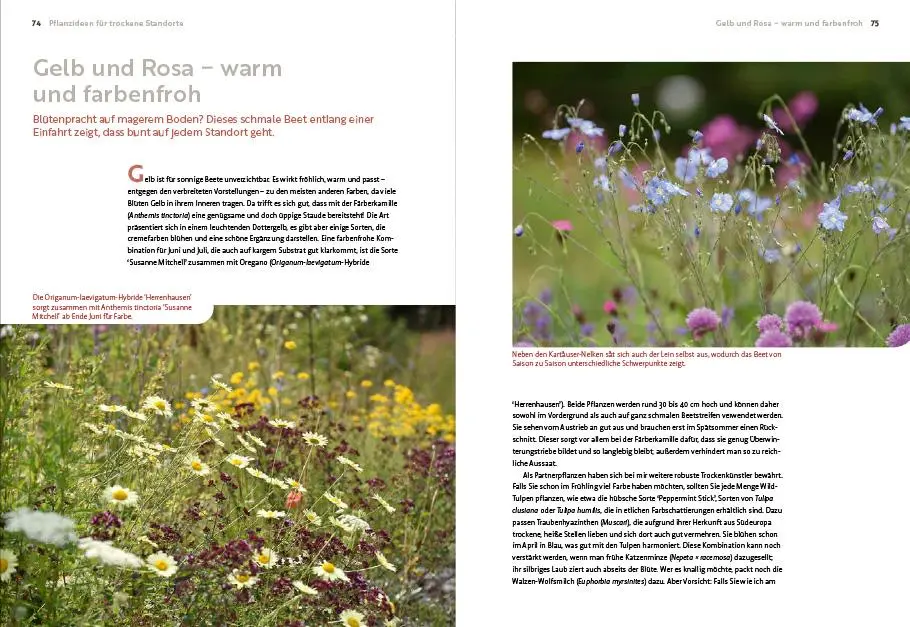 Bild: 9783818617653 | Echte Hitzeprofis | Katrin Lugerbauer | Taschenbuch | 144 S. | Deutsch