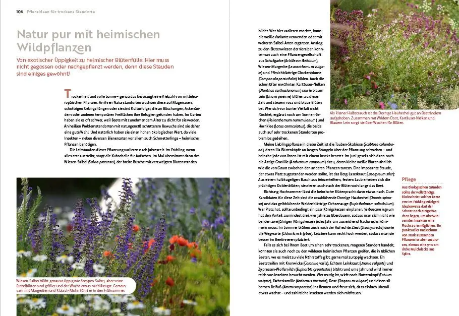 Bild: 9783818617653 | Echte Hitzeprofis | Katrin Lugerbauer | Taschenbuch | 144 S. | Deutsch