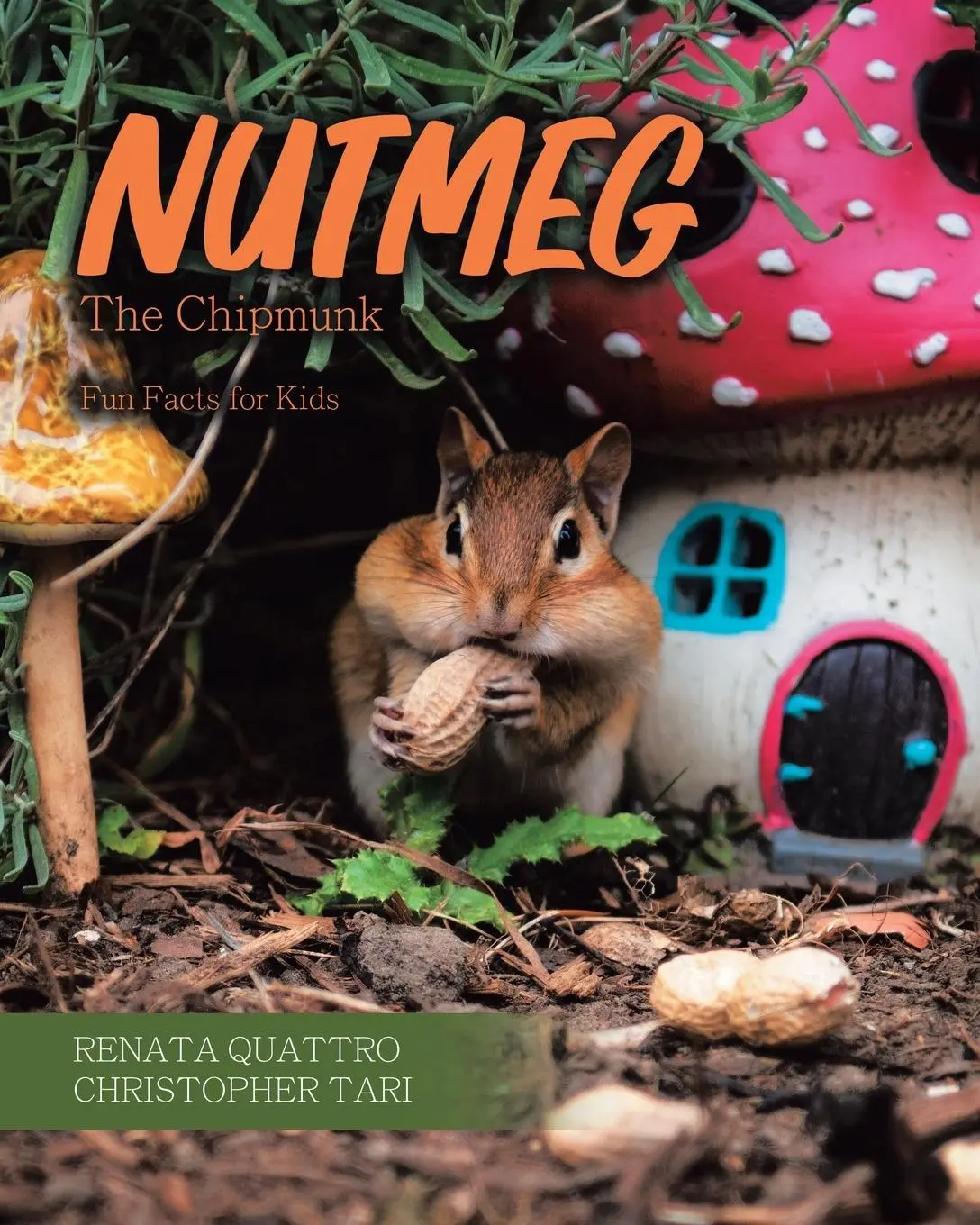 Cover: 9780228867753 | Nutmeg the Chipmunk | Fun Facts for Kids | Renata Quattro | Buch