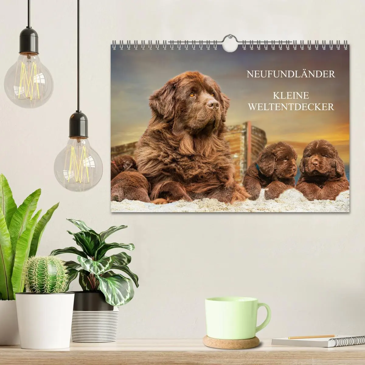 Bild: 9783457317853 | Neufundländer - Kleine Weltentdecker (Wandkalender 2026 DIN A4...
