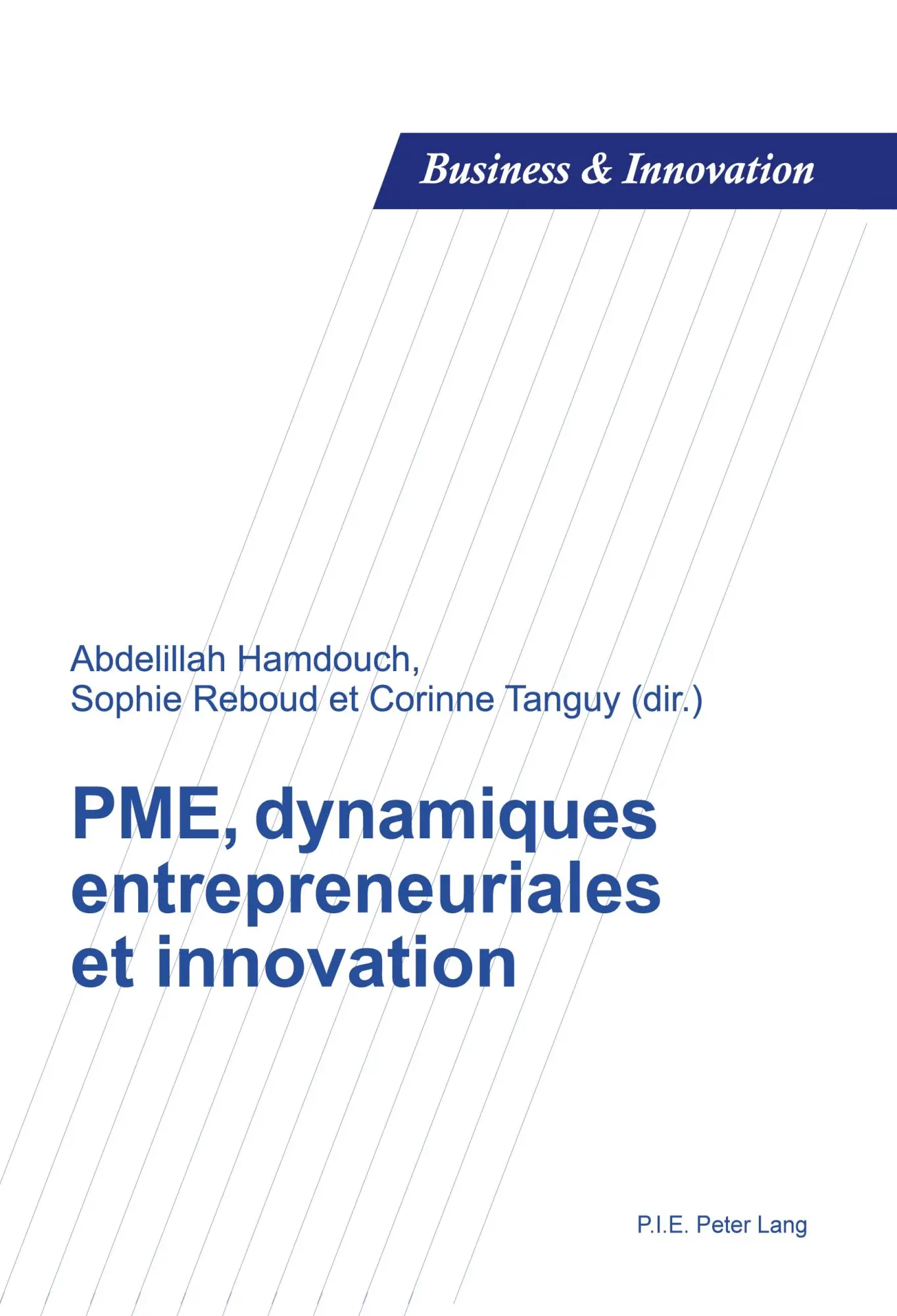 Cover: 9789052017853 | PME, dynamiques entrepreneuriales et innovation | Hamdouch (u. a.)