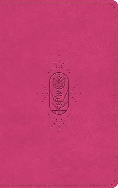 Cover: 9798874907853 | ESV Kid's Bible, Thinline, Red Letter | Esv Bibles | Buch | Englisch