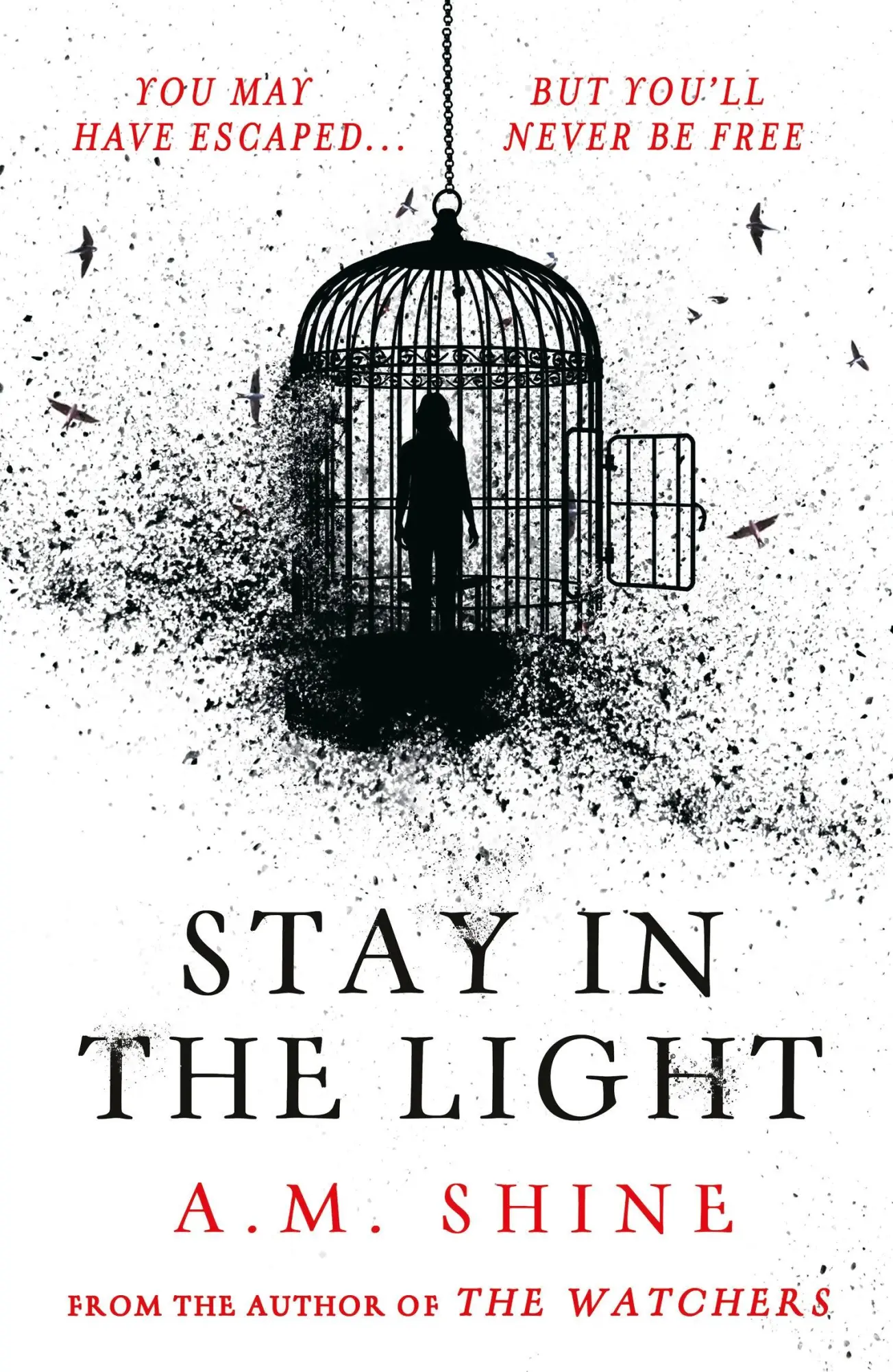 Cover: 9781804547953 | Stay in the Light | A. M. Shine | Taschenbuch | Englisch | 2025
