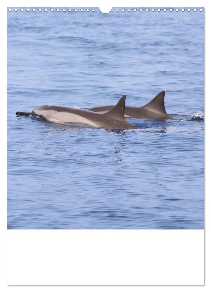 Bild: 9783435907953 | Hawaii - Reiseplaner (Wandkalender 2025 DIN A3 hoch), CALVENDO...