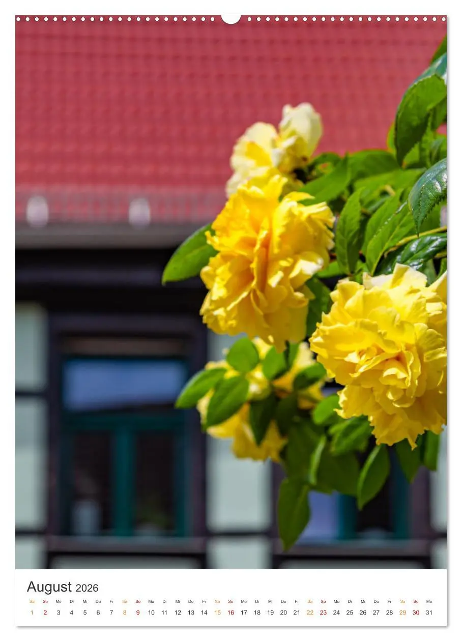 Bild: 9783516327953 | Die Stadt Sangerhausen (hochwertiger Premium Wandkalender 2026 DIN...